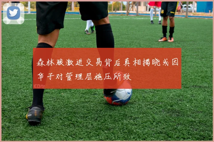 森林狼激进交易背后真相揭晓或因华子对管理层施压所致